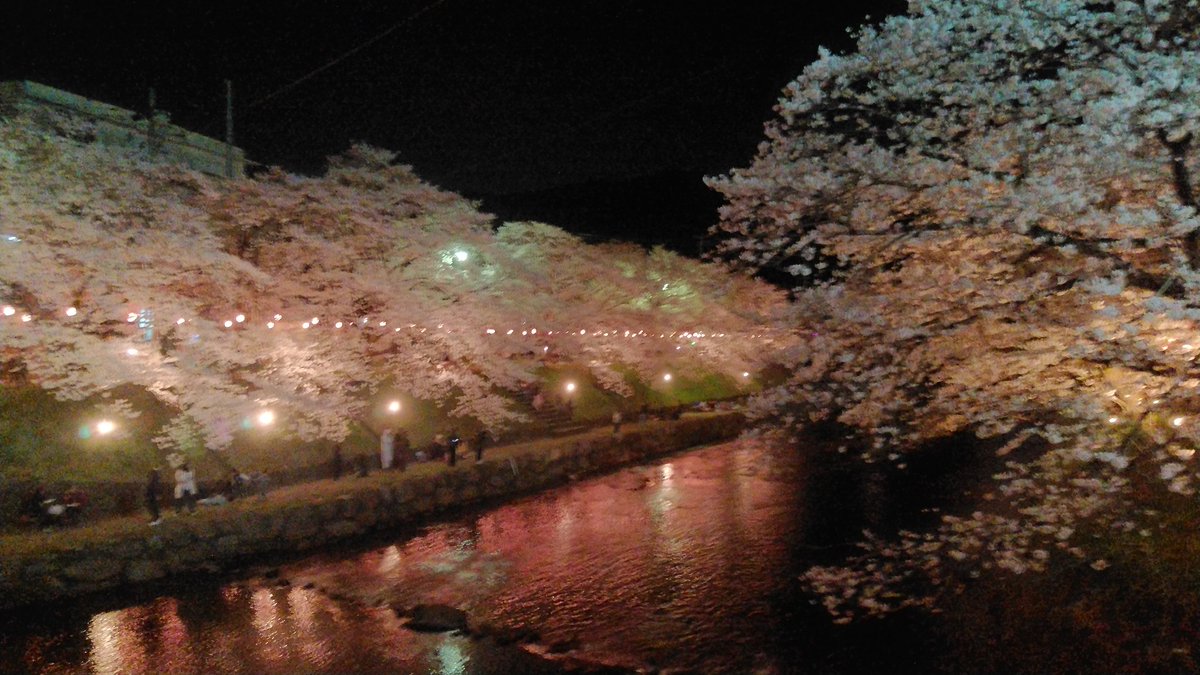 美祢さくら公園 美祢さくら公園