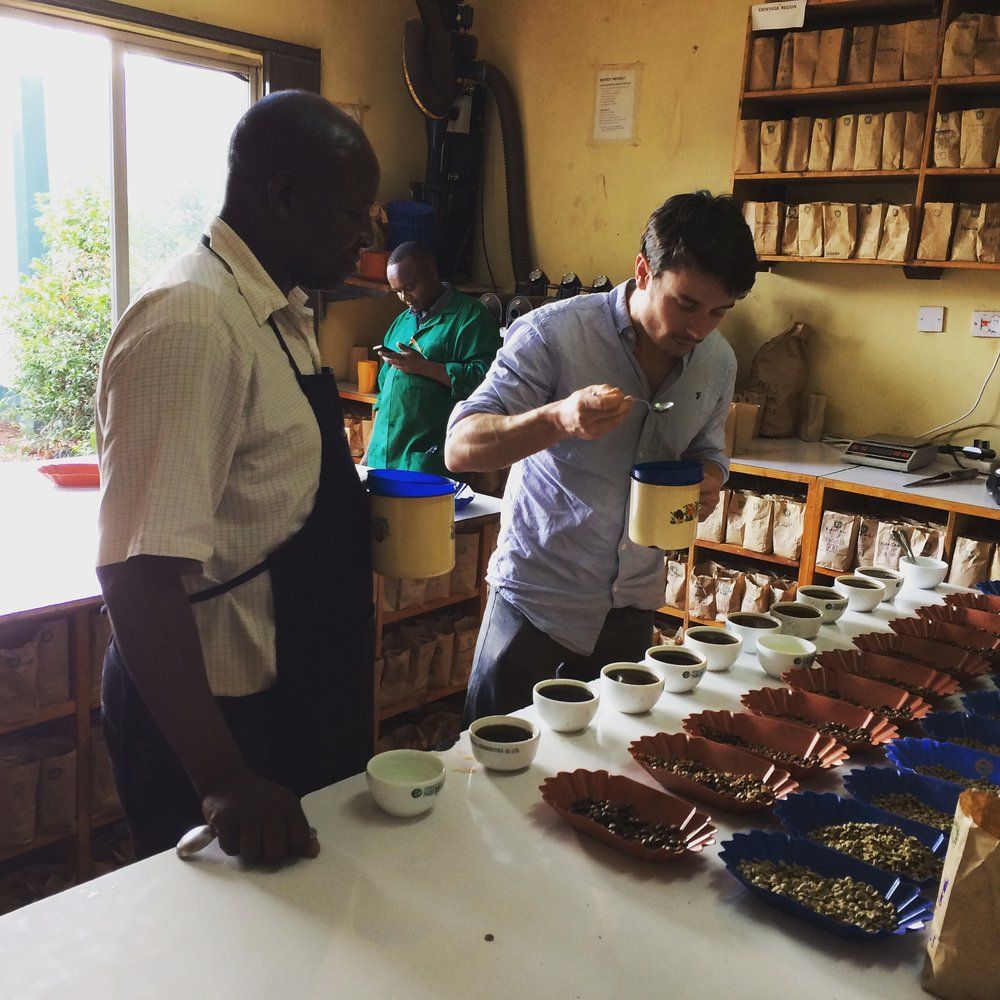 GeoTraceability (@geotraceability) on Twitter photo "Do you know where your coffee comes from?" Our friends at <a href="/chimneyfirec/">Chimney Fire Coffee</a> have written an interesting blog on this from a specialty coffee perspective: buff.ly/2pLrs8D
#Coffee #traceability #knowwhereitsfrom #Africa #coffeeroasters #smallholders "Do you know where your coffee comes from?" Our friends at <a href="/chimneyfirec/">Chimney Fire Coffee</a> have written an interesting blog on this from a specialty coffee perspective: buff.ly/2pLrs8D
#Coffee #traceability #knowwhereitsfrom #Africa #coffeeroasters #smallholders