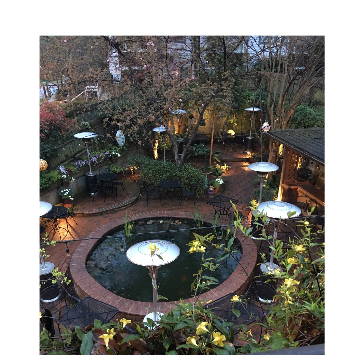 dilworthtr's tweet photo. Good morning and hello Spring! Such a beautiful place to start the day. The cherry tree is just starting to bloom! 🌸 #garden #cherryblossom #spring #secretgarden #clteats#cltfood #cltwinebar #cltevents #weddings #clt5 #charlottesgotalot #bridalevents https://t.co/qp1YSk3fn4