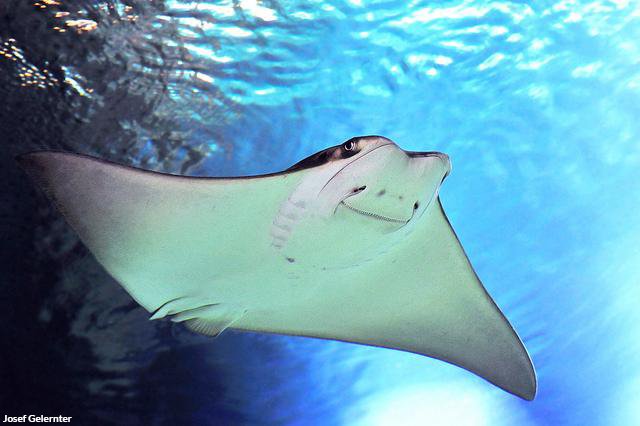 oceana's tweet photo. SMILE! It's #Friday! 😊 https://t.co/EVZOJfZ870