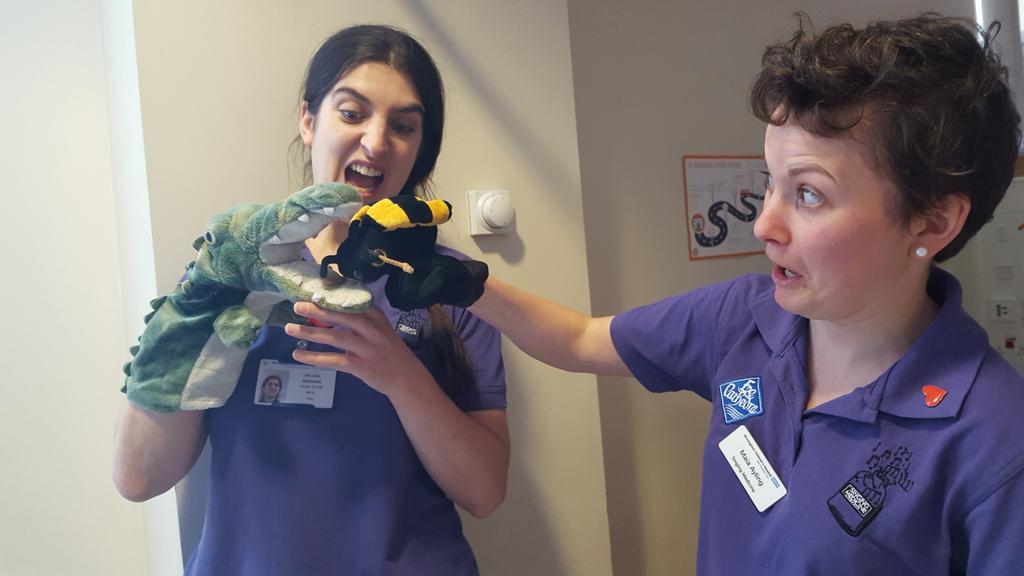 @singingmed doesn't stop because of a bank holiday! Our puppets are out in force @Bham_Childrens today! Looks like Mr Crocodile is having an early lunch! 🐝
