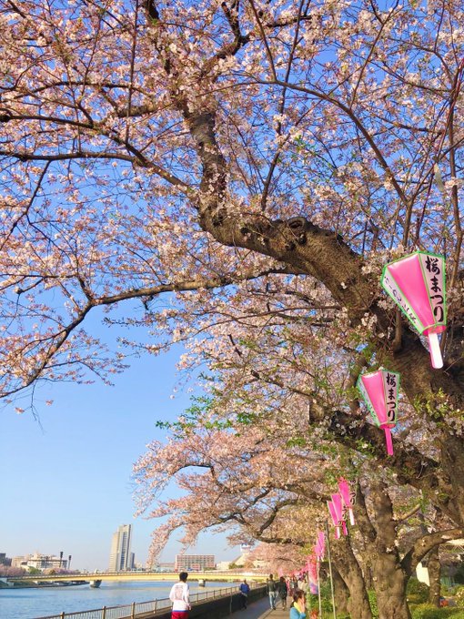 Twitterのコスプレ画像10