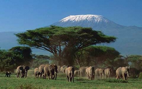 Happy Easter,
#DiscoverKWSParks
#AmboseliNationalPark, Kenya 🇰🇪 🇰🇪 🇰🇪