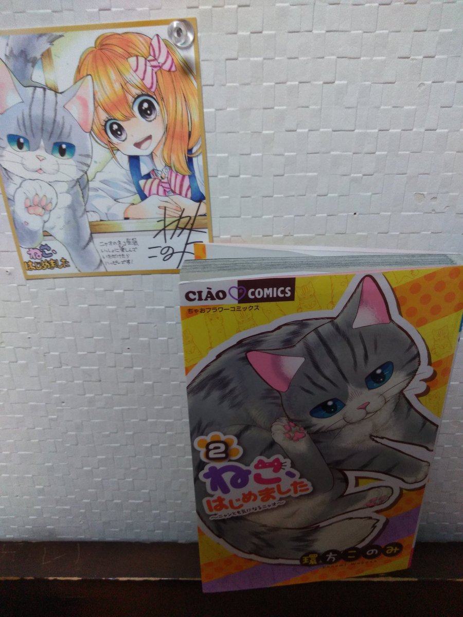 ねこはじめました
