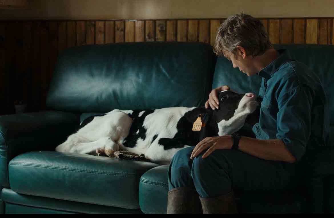 EclipseMag's tweet image. Petit paysan, di Hubert Charuel
eclipse-magazine.it/cultura/cinema…
#petitpaysan #hubertcharuel #cinema #film #recensione #recensionedifilm #eclipse #eclipsemagazine