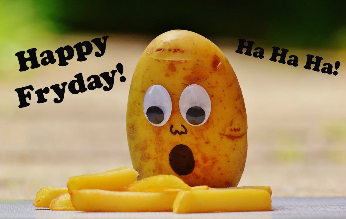 KinburnFarms's tweet photo. Yes, I know, I have a weird sense of humour. And I am proudly from the "ha ha ha" generation, not the "lol" one.  Wishing you a FANTASTIC weekend ahead! #kneeslap #sorrynotsorry #funny #potato https://t.co/OcJlqG1vKS