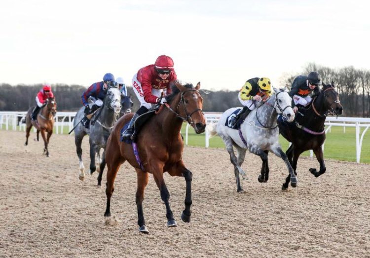 ODDSbibleRacing's tweet photo. Here are our selections for today’s All-Weather Championships Finals Day at Lingfield Park:

2.00: Watersmeet &amp; Mountain Bell E/W

2:30: Carolinae &amp; Lucymai E/W

3:05: Kachy

3:40: Corinthia Knight

4:10: Second Thought

4:40: Mr Owen https://t.co/THNNjV7Szn