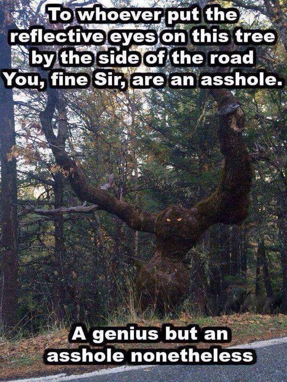 DZiW6MLW4AELqG6.jpg:large