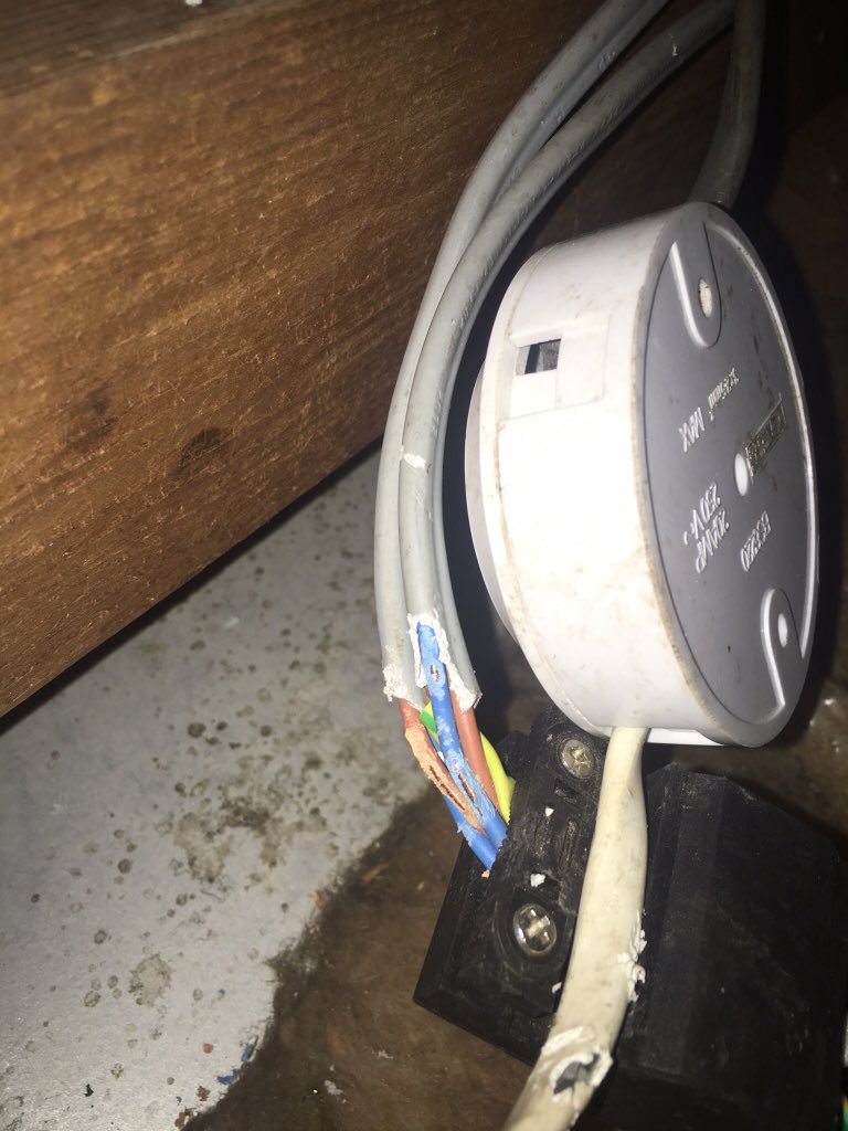 More rat damage. This time in the roof space of a house. Rodents gnaw in order to keep their teeth filed down. Unlike us their teeth never stop growing. Not sure why they enjoy wiring so much though #protectingyourenvironment #pestcontrol #epcwillfixit