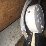 Photo by Environmental Pest Control (@EPCboss)
