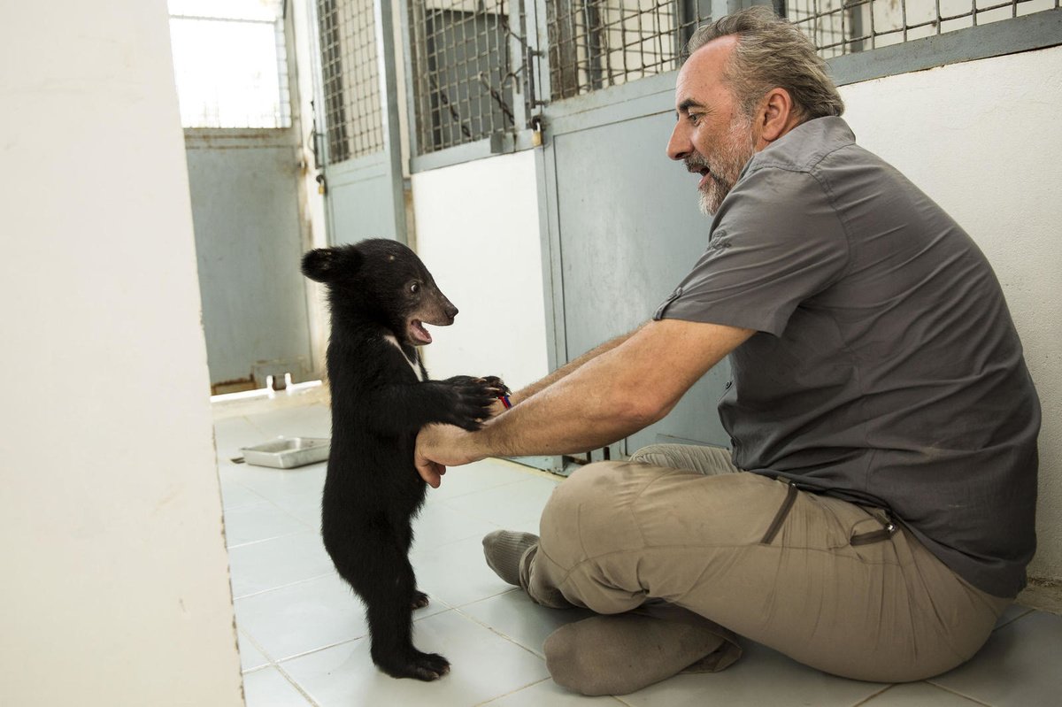 LVT_RTL's tweet photo. 9H @LVT_RTL Sur France 3, un documentaire inédit "Antoine Duléry et Chanee"... Le comédien est allé à la rencontre des derniers ours sauvages du Cambodge, aujourd'hui menacés de disparition. Rencontre https://t.co/VHjjAQQXE5