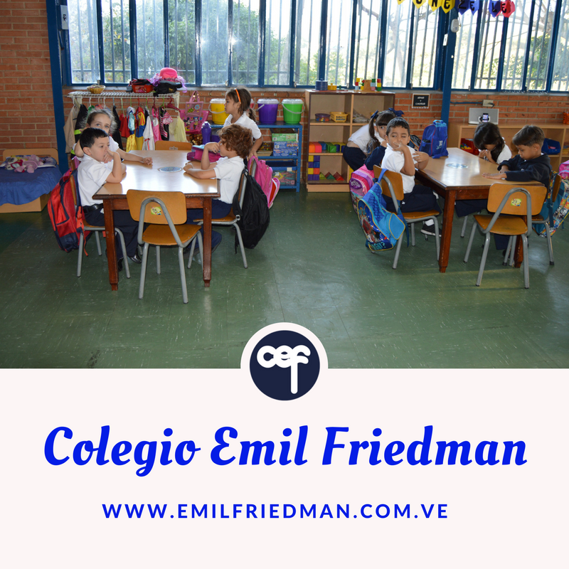 ColEmilFriedman's tweet photo. En un verdadero “Kinder” el niño aprende hábitos que le son útiles para toda la vida: su roce con el mundo fuera de su familia es suave y entiende que sus compañeros también tienen derechos para con él y no sólo obligaciones. #EmilFriedman https://t.co/SEGMRpHmA0
