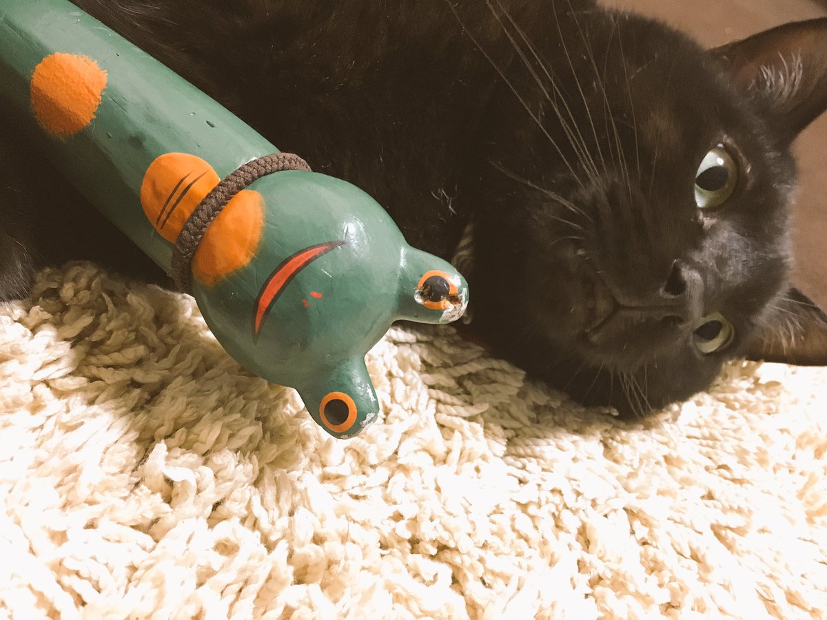 黒猫しらす Shirasu A Cat Twitter