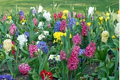 MidmarkNews's tweet photo. Midmark is closed to observe Good Friday. Have an enjoyable weekend. https://t.co/nww3Tig5gz