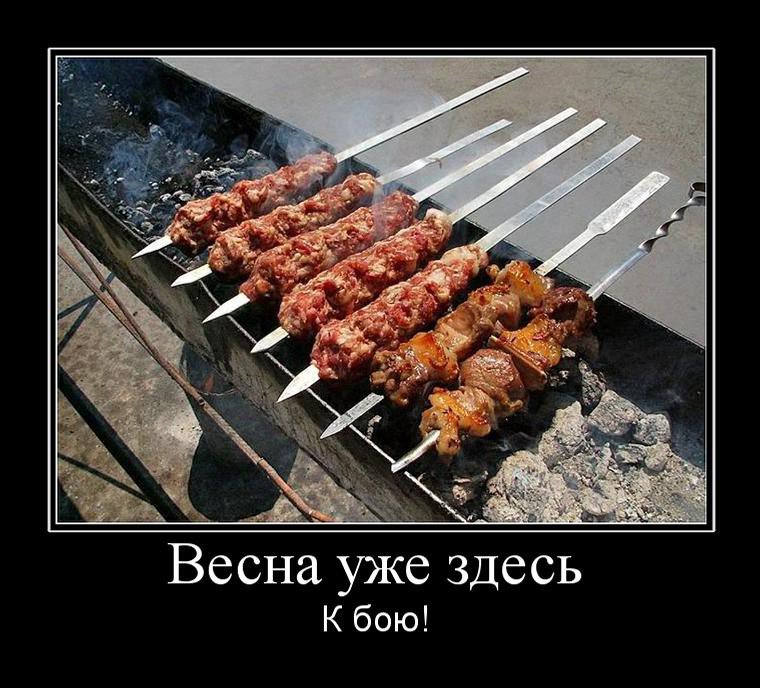 Днем рождения, приколы картинки шашлыка