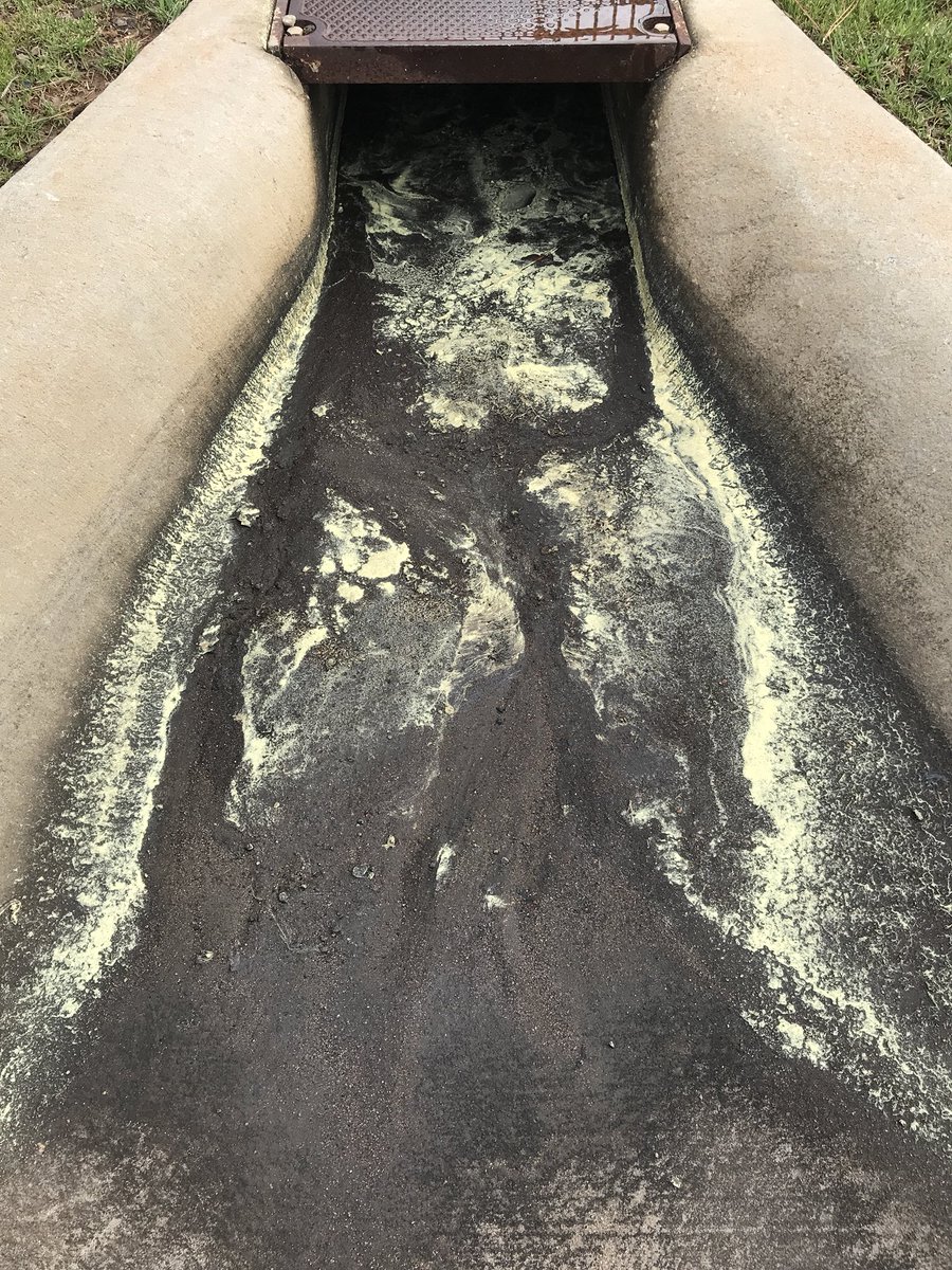 MartySmithESPN's tweet photo. Pulled over to the side of the road to document this cesspool of Satan Dust in my neighborhood.
#pollen #satandust https://t.co/J1YvV9TDLX