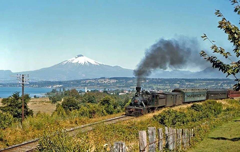 Iván Azul Boric Floyd 🌳 tweet media