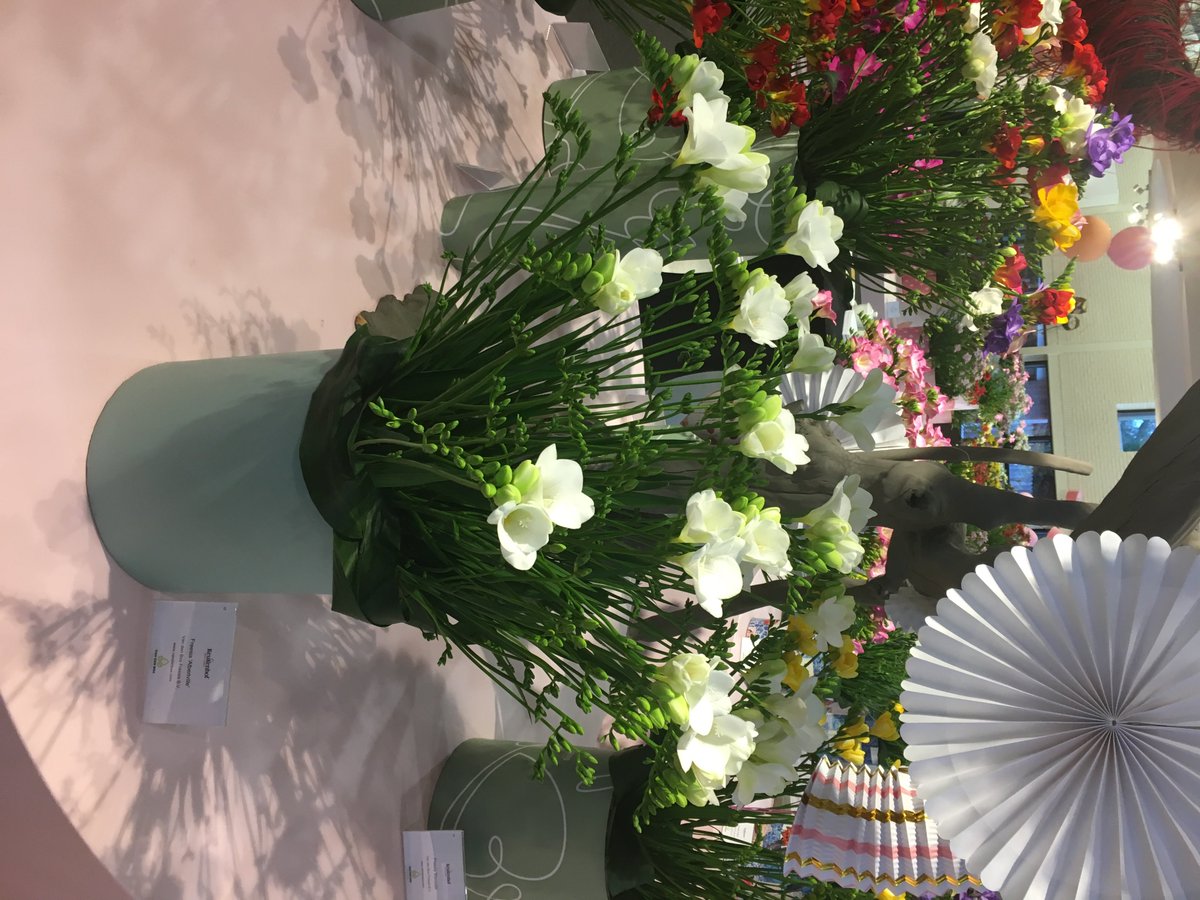 Yesterday the trade evening for the freesia was organized in the ‘Orange Nassau Pavilion’ at Keukenhof. Our variety  ‘Albertville’ won the price of best single freesia vase in the category breeder.