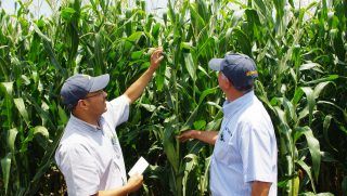 Bordernomics's tweet photo. Americans for Farmers &amp; Families brace for trade retaliation
#NAFTA #naftaworks #bordernomics

https://t.co/6e70kK5jad https://t.co/Fz57yJWBAg