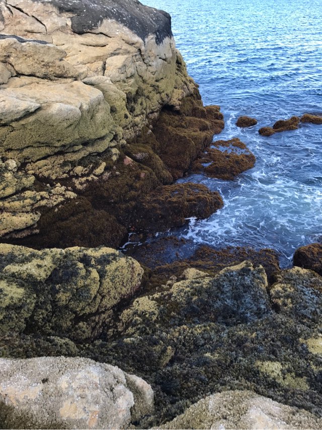 CuckoldsLight's tweet photo. The Eastern Cuckolds island, which is where the lighthouse sits, is around 2 acres at low tide, but loses nearly half its “land” at high tide - going down to around 1 acre. https://t.co/zffOEDxYQx