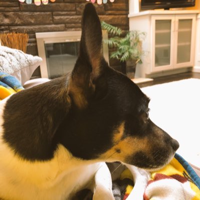 Max13287713's tweet photo. #NewProfilePic https://t.co/YSeWavUBC4