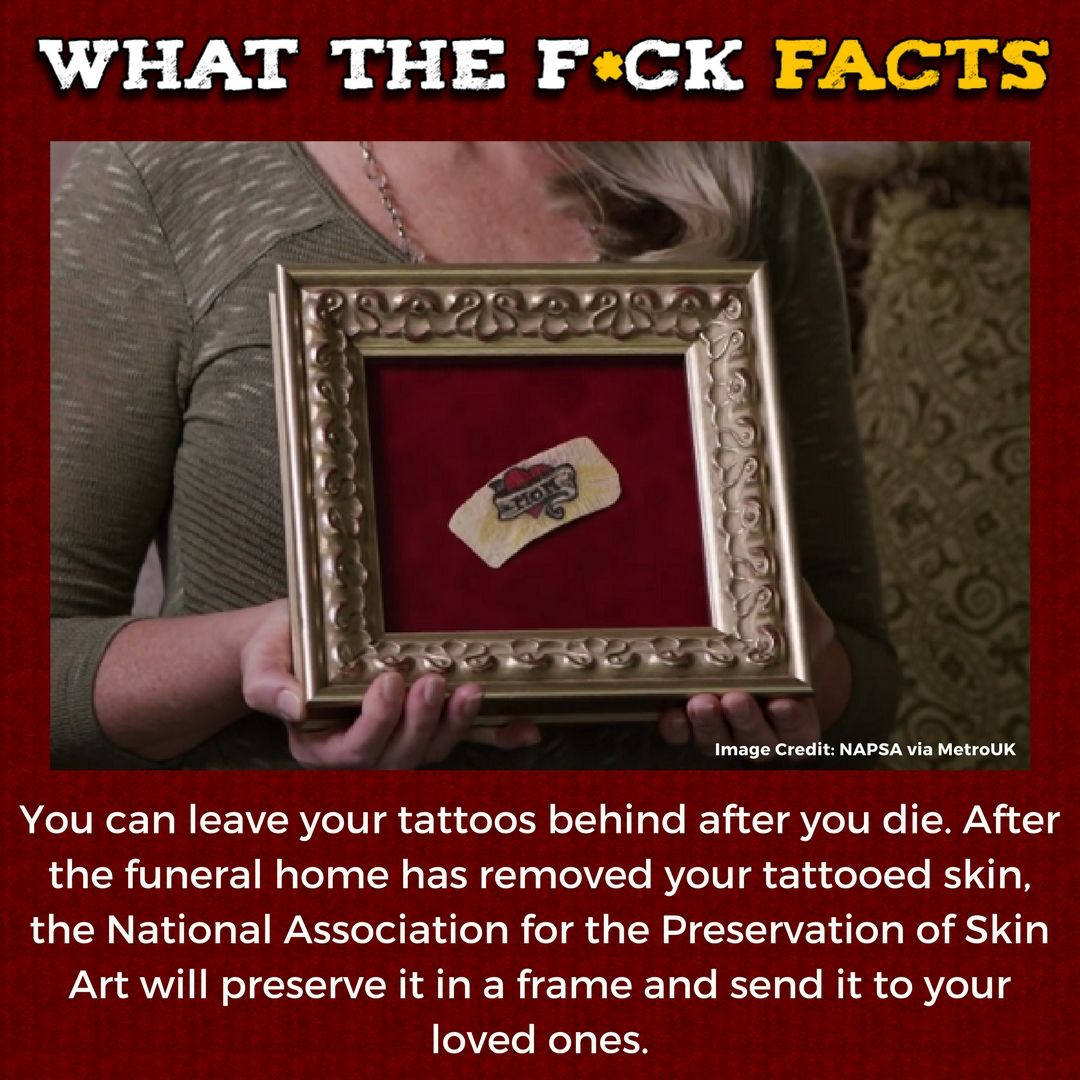WhatTheFFacts's tweet photo. https://t.co/4lmF7pzrxA