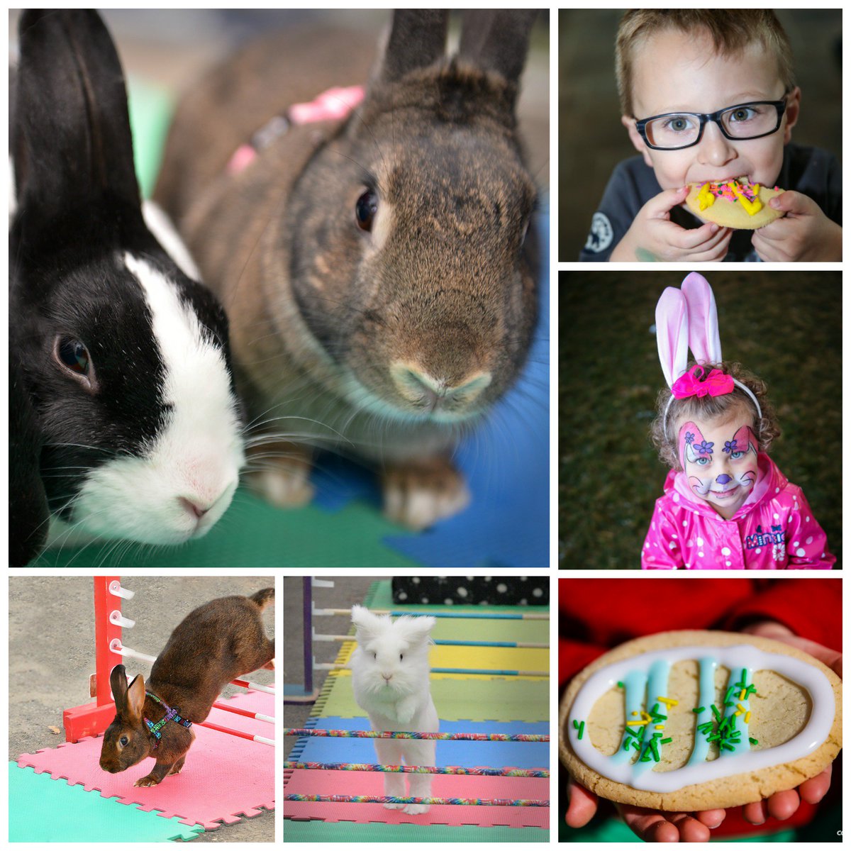 calgaryzoo's tweet photo. Hoppy-Easter Eggstravaganza! There’s plenty to do and see—even indoor activities for the whole family. Enjoy complimentary face painting, cute obstacle course antic, craft zone, and more: https://t.co/Cf5OzkjXBS https://t.co/8cMbIPa4X8