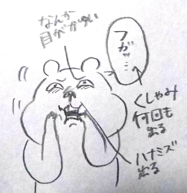 花粉症デビューをそろそろ認めようと思います… 