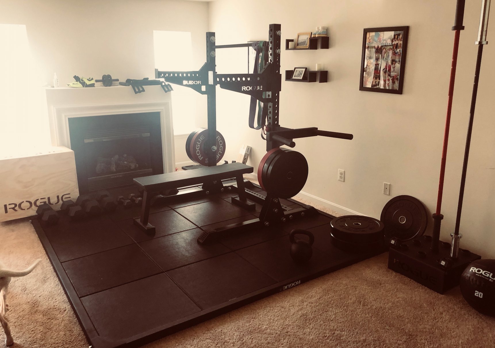 Rogue sm1 squat rack sale