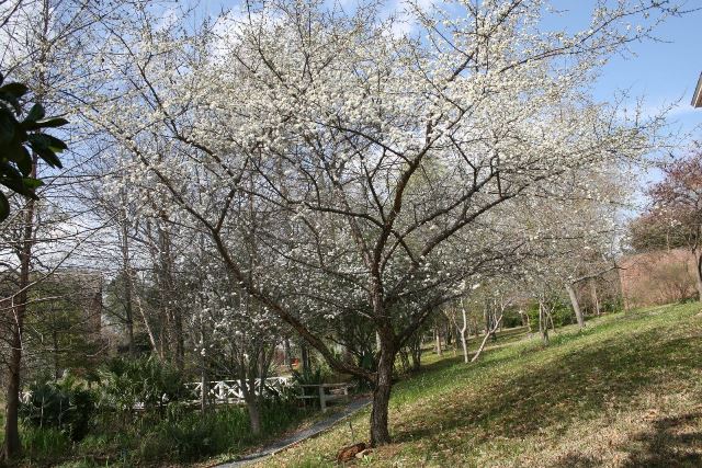 TX Gulf Coast Master Naturalist tweet media