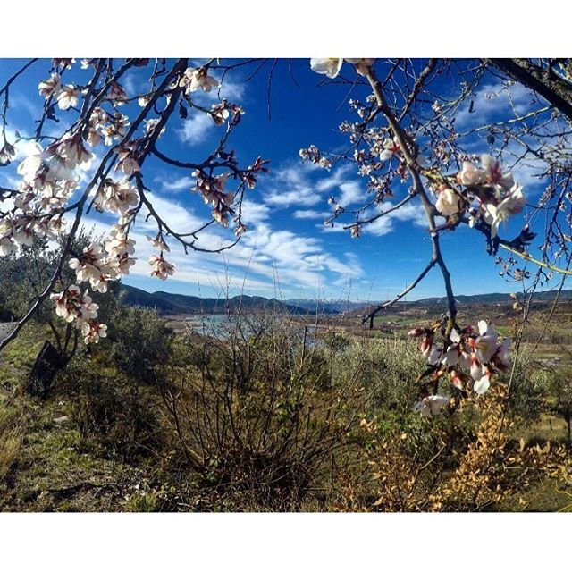 És moment per gaudir de la primavera al #pallarsjussa .
#vinealpallars #viujussa ift.tt/2uxPOY5