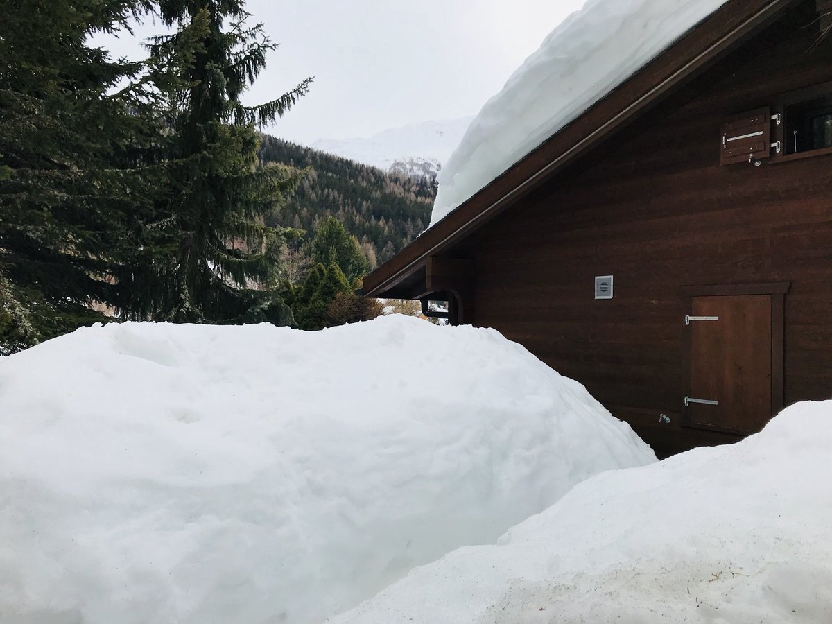 IVolken's tweet photo. Back in the winter #moosalpregion https://t.co/l5rM1HGIRx