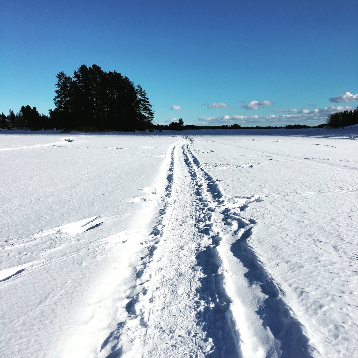 MillaRuokolain2's tweet photo. Pitkäperjantain lenkkipolku #kallavesi #huippukeli #aurinkoa ☀️🐥 https://t.co/96hhvcNs2W