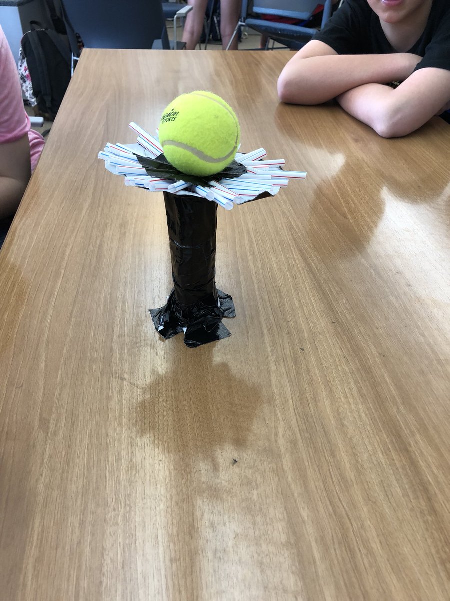 MrRodriguezDMS's tweet photo. (1/2) Eight different groups, eight unique designs!! #usdlearns https://t.co/i9k7aYNTWg
