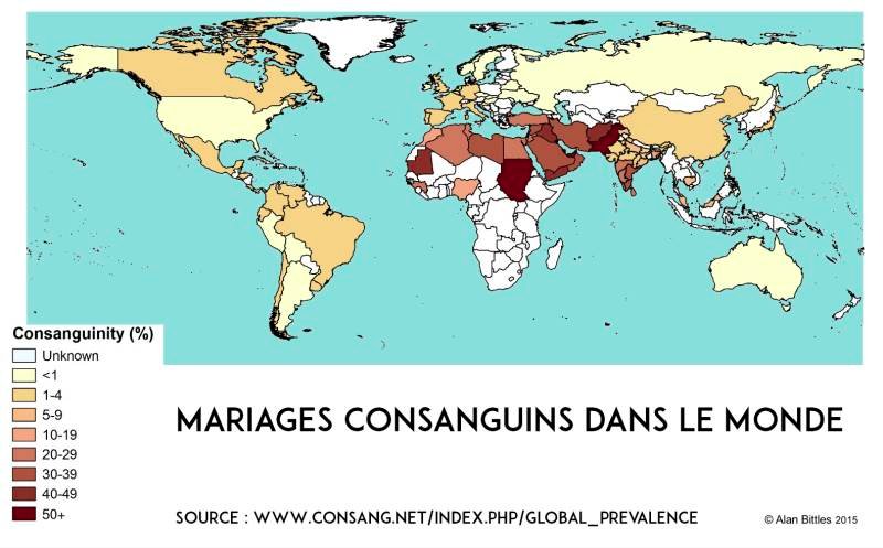 DebesseYoann's tweet photo. @Tablophile @LeLapinTaquin  https://t.co/6BL9A49QVd