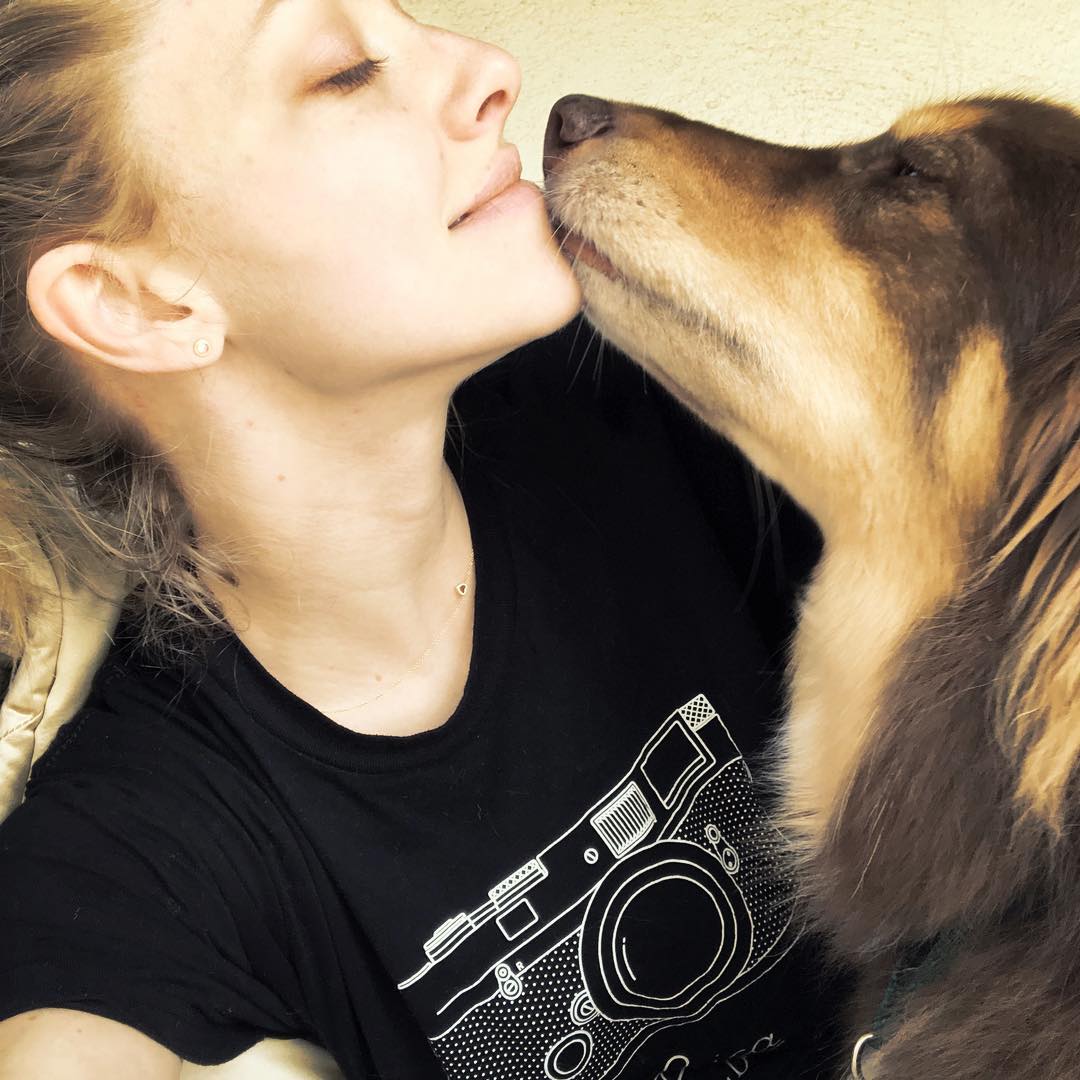 𝐀𝐦𝐚𝐧𝐝𝐚 𝐒𝐞𝐲𝐟𝐫𝐢𝐞𝐝 𝐔𝐩𝐝𝐚𝐭𝐞𝐬 on Twitter: "📸 #AmandaSeyfried on Instagram