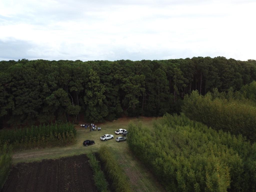 #AteneosCRA 

Los Ateneos de <a href="/CARBAP_ARG/">CARBAP</a> tuvieron su reunión de delegados e  25 de Mayo, donde también visitaron la Estación Experimental Forestal de INTA 🌳🌲