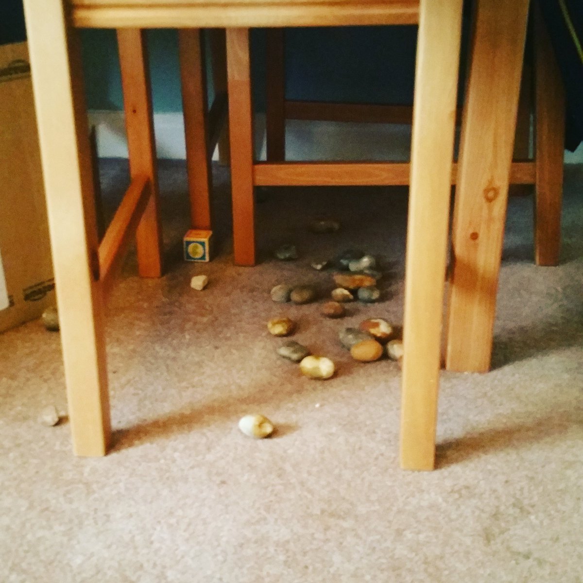 MiriMain's tweet image. This is what happens to granny and grandads' fireplace stones when a 16-month-old has been watching penguins @edinburghzoo all day! 🐧