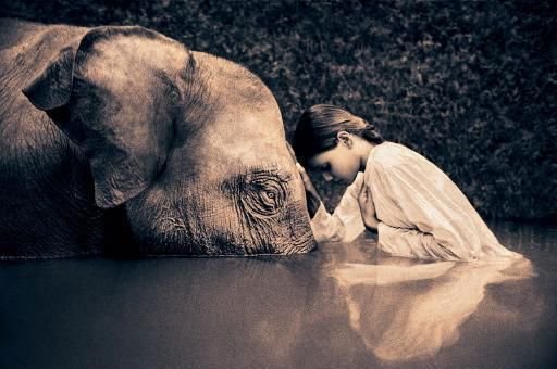 JuliaGrantham2's tweet photo. Until he extends the circle of his compassion to all living things, man will not himself find peace.
#AlbertSchweitzer https://t.co/8rz5KSNJ2S
