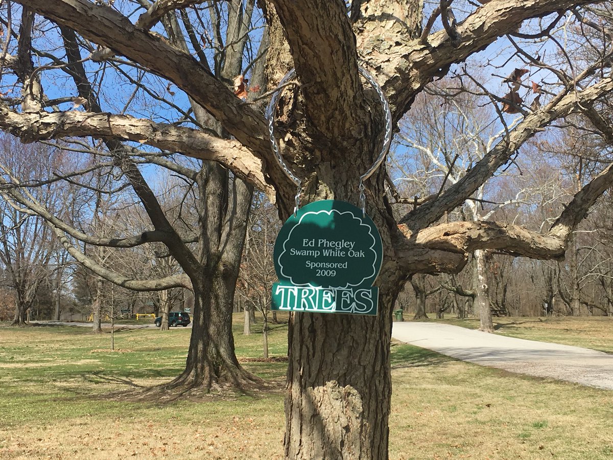 TerreHauteTREES's tweet photo. TREES Inc. Commemorative &amp; Memorial Trees are a great way to add Beauty to our community and honor someone special. Please visit our https://t.co/vvpuwASe49 https://t.co/zbaeVhl1pF