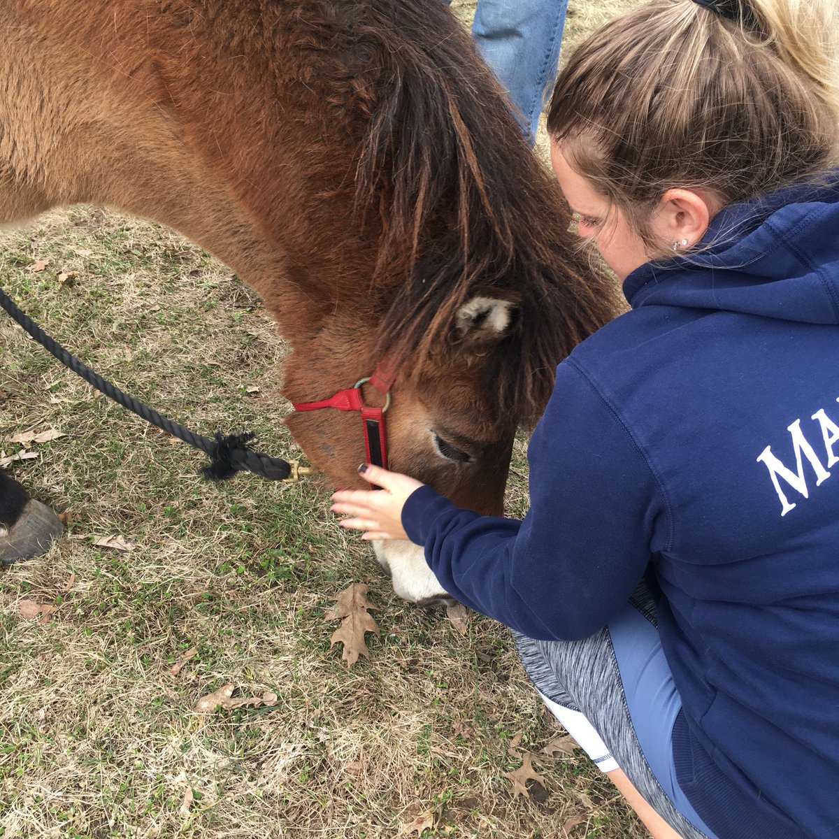 PlymouthState's tweet photo. We had a special visitor on campus today! #pettherapy 🐴❤️ https://t.co/6DzpxcX5bv