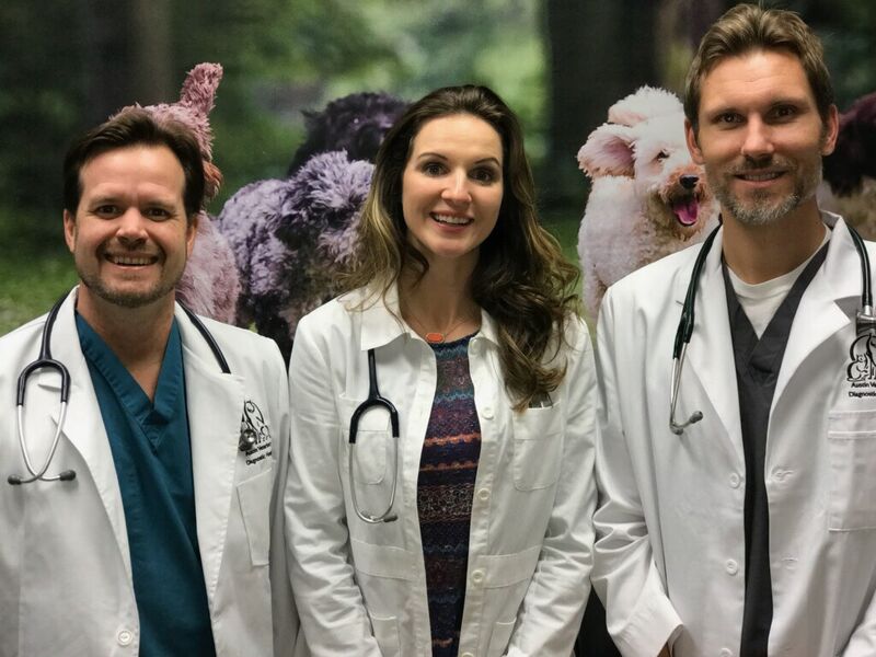 Austin_Vets's tweet image. On #NationalDoctorsDay, we celebrate our talented veterinarians, Dr. Donop, Dr. Kneupper, and Dr. Varga! We thank ALL doctors across the world who serve to help &amp;amp; heal others #pets #veterinarians #love #animals #FridayFeeling 🐶🐱💙🐾
