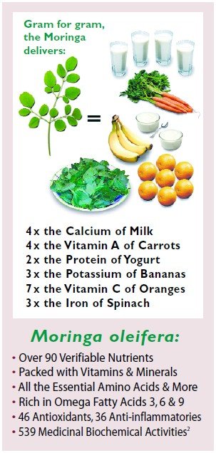 MoringaNow's tweet photo. Zija Moringa contains significant amounts of vitamin C, and vitamin E #StayHealthy #Zija #Vitamins https://t.co/zM3588V5n0