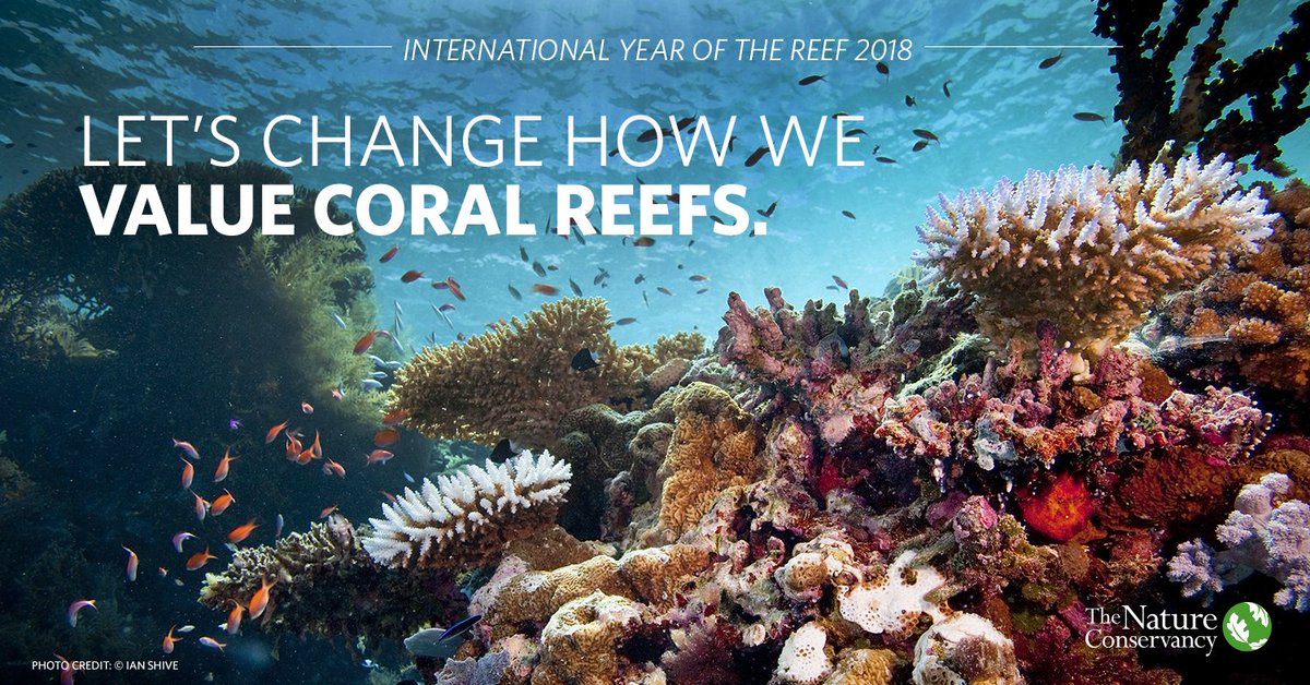 UNEP's tweet photo. Did you know:
100 million people derive their livelihoods from coral reefs. Find out why we must save them here: https://t.co/JfAqaeQmAG
@nature_org  
#IYOR2018 https://t.co/3UqcDaTyfR
