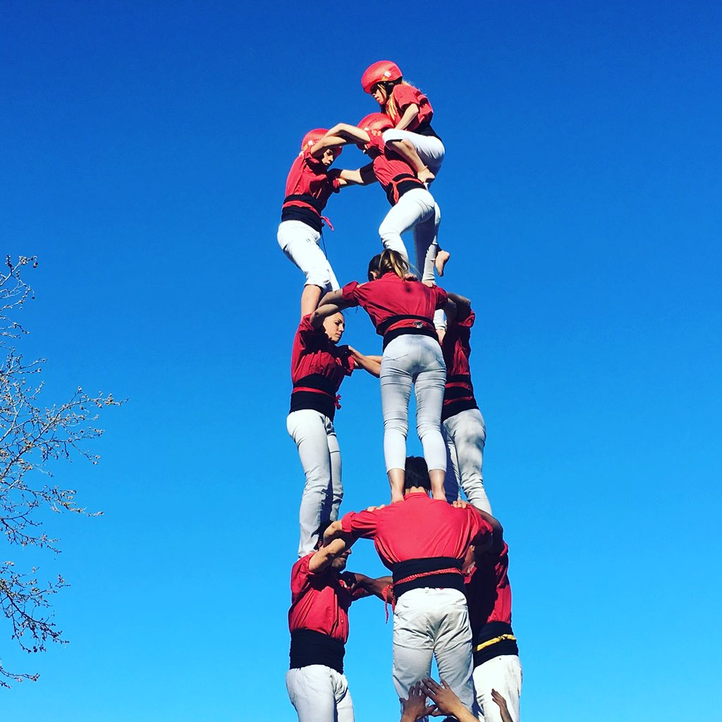 teamtowers tweet media