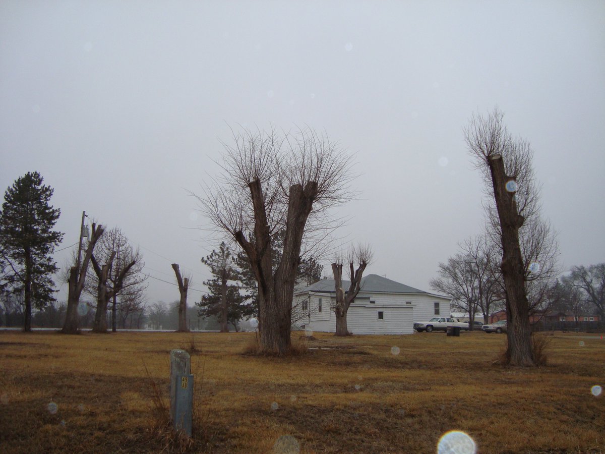 MJPollinatorUNL's tweet photo. This is one of the worst tree toppings I have ever seen. This practice leaves large wounds that allow decay & creates epicormic branches. These branches are not structural sound & will eventually fail with strong winds, snow or ice load in the winter. #treeabuse #fail https://t.co/U6k3mqNYaQ