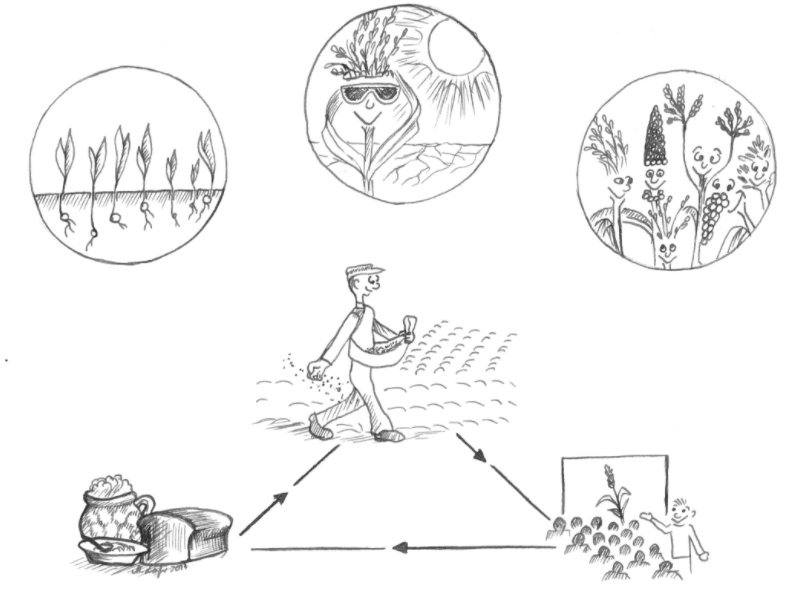OSTAustria_DC's tweet image. Move over @WaltDisneyCo! Our #RINA member Patricia Bubner really brought out her creative #scicomm skills to visually showcase her science around cultivating millet in the 🇺🇸 ostaustria.org/bridges-blog/e…