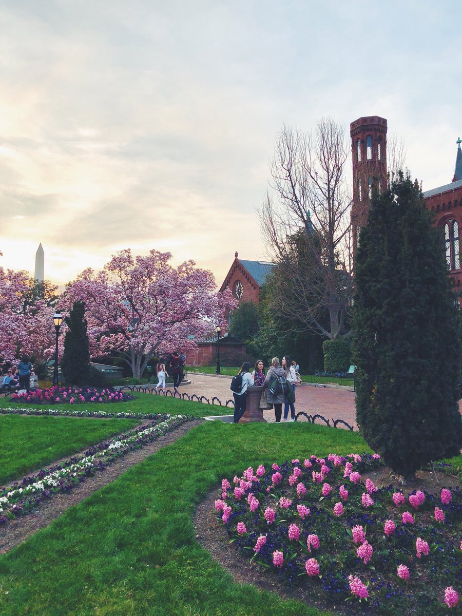 SnapWashington's tweet photo. DC looks pretty in pink. #WashingtonDC https://t.co/gO4S2FObHW