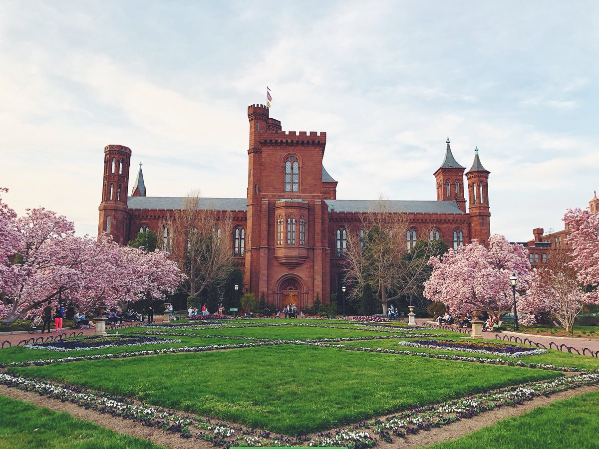 SnapWashington's tweet photo. DC looks pretty in pink. #WashingtonDC https://t.co/gO4S2FObHW