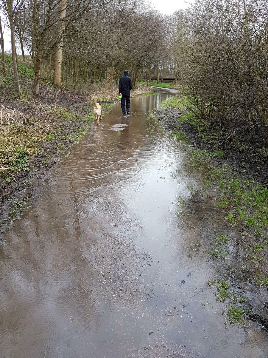 Aylesbury Parkrun tweet media